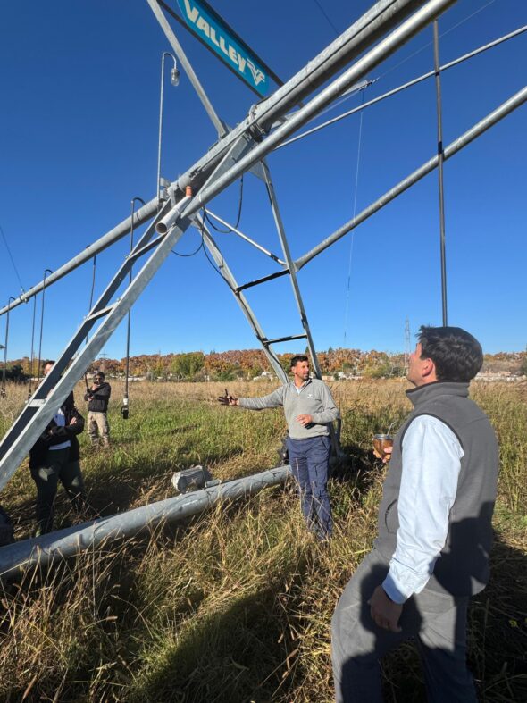 WhatsApp Image 2025-05-15 at 16.42.49